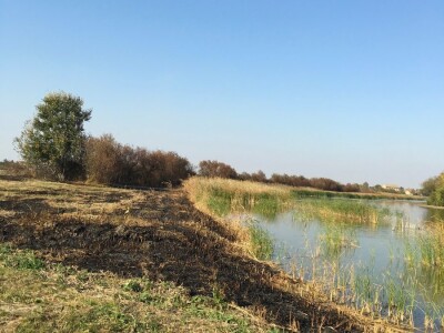 Ponjavica i Mali vršački rit