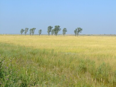 Ponjavica i Mali vršački rit