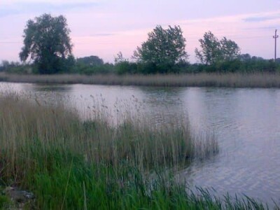 Ponjavica i Mali vršački rit