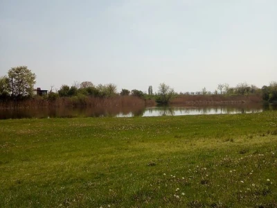 Ponjavica i Mali vršački rit