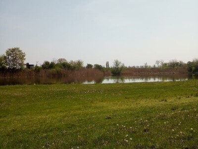 Ponjavica i Mali vršački rit