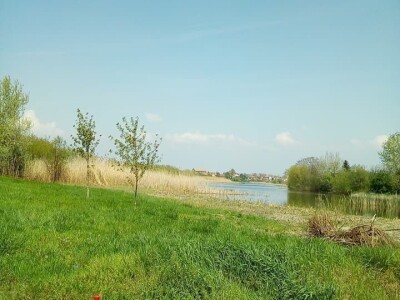 Ponjavica i Mali vršački rit