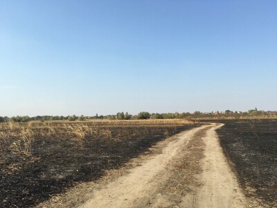 Ponjavica i Mali vršački rit
