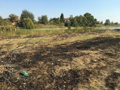 Ponjavica i Mali vršački rit