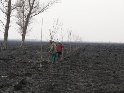 Ponjavica i Mali vršački rit
