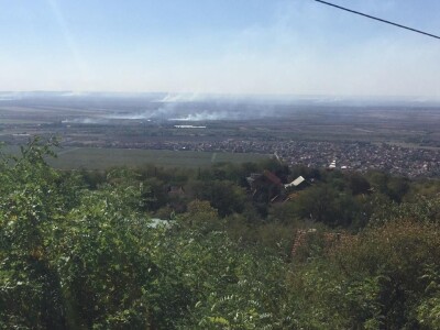 Ponjavica i Mali vršački rit