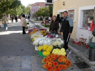 Ponuda svježeg cvijeća u Sinju - Mile Velić sa ženom