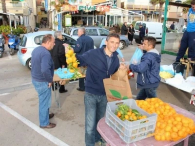 Neretvanske mandarine i klementine