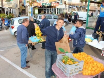 Neretvanske mandarine i klementine