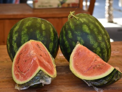 Ponuda na gradskoj tržnici u Zadru