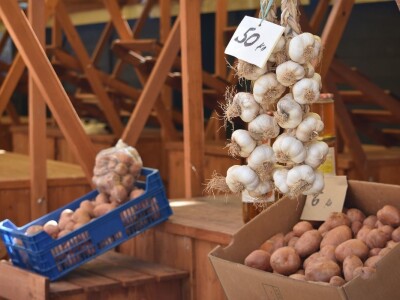 Ponuda na gradskoj tržnici u Zadru