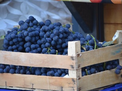 Ponuda na gradskoj tržnici u Zadru