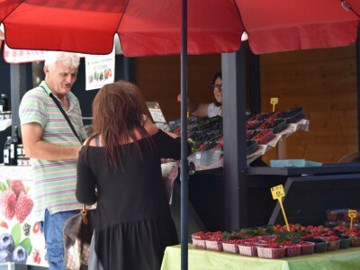 Ponuda na gradskoj tržnici u Zadru