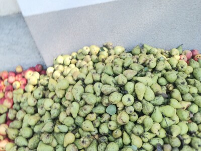 Popis poljoprivrede u BiH