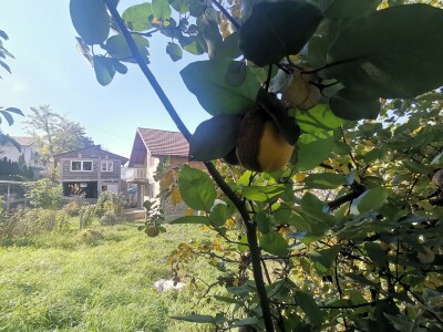 Popis poljoprivrede u BiH