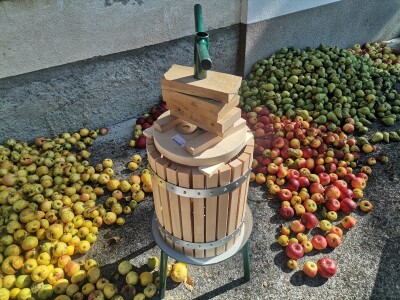 Popis poljoprivrede u BiH