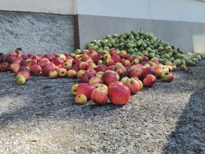 Popis poljoprivrede u BiH