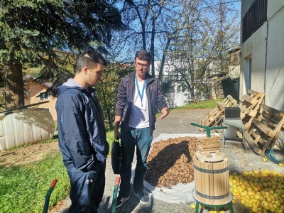 Popis poljoprivrede u BiH