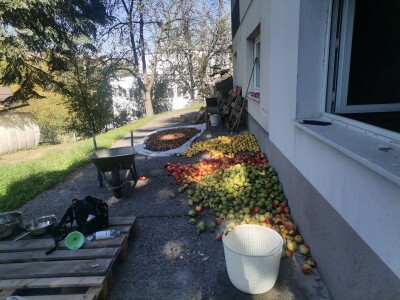 Popis poljoprivrede u BiH