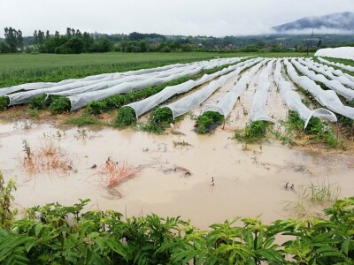 Poplave u opštini Knić