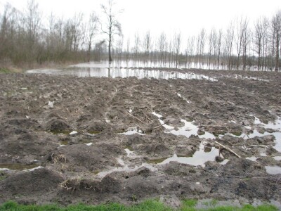 Poplave dovode u pitanje proljetnu sjetvu u desetak gradiških sela