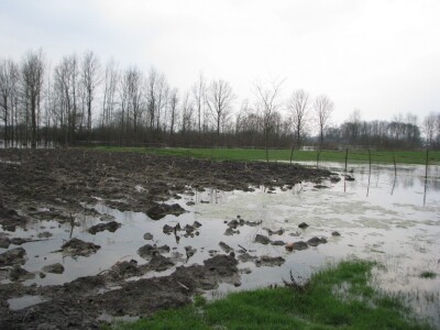 Poplave dovode u pitanje proljetnu sjetvu u desetak gradiških sela