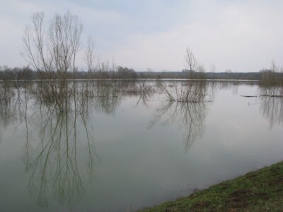 Poplave dovode u pitanje proljetnu sjetvu u desetak gradiških sela
