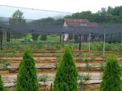 Poplave u opštini Knić