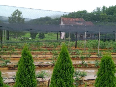 Poplave u opštini Knić