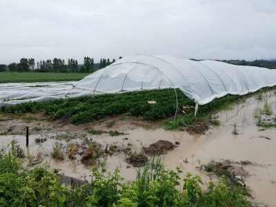 Poplave u opštini Knić