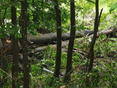 Poplave u Tesliću