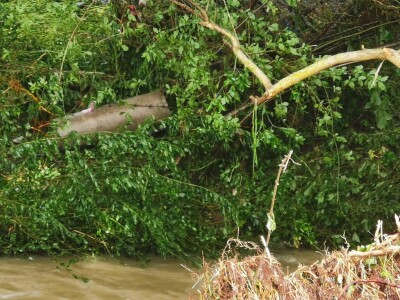 Poplave u Tesliću Poplave u Tesliću