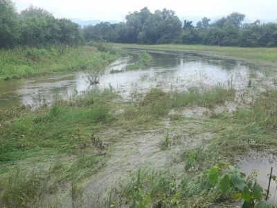 Poplave u TK