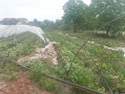 Poplave uništile zasade jagoda u Čeliću Poplave uništile zasade jagoda u Čeliću