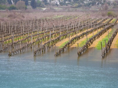 Poplavljena vrgoračka polja