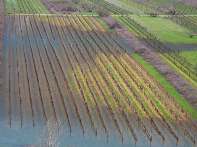 Poplavljena vrgoračka polja