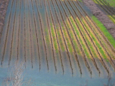 Poplavljena vrgoračka polja