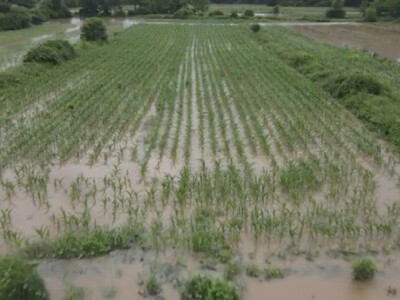 Poplavljene njive