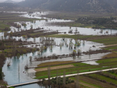 Poplavljeni vinogradi i voćnjaci u vrgoračkom polju.