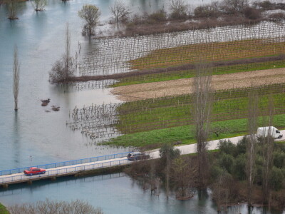 Poplavljeni vinogradi i voćnjaci u vrgoračkom polju.