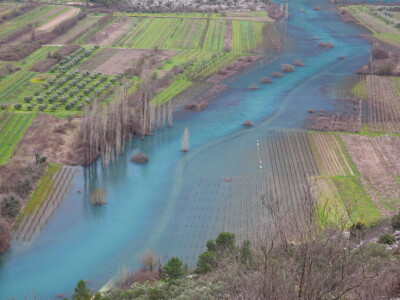 Poplavljeni vinogradi i voćnjaci u vrgoračkom polju.
