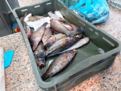 Poremećaj na tržištu Poremećaj na tržištu