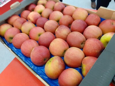 Poremećaj na tržištu