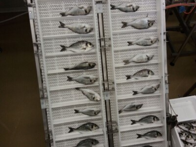 Poremećaj na tržištu