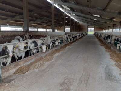 Poremećaj na tržištu