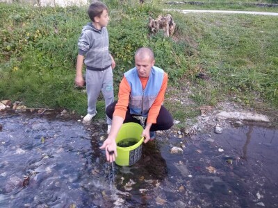 Poribljavanje rijeke Vrbas i njene pritoke Voljišnice