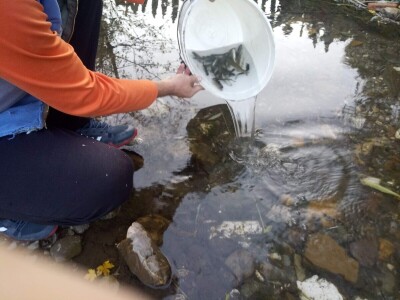 Poribljavanje rijeke Vrbas i njene pritoke Voljišnice