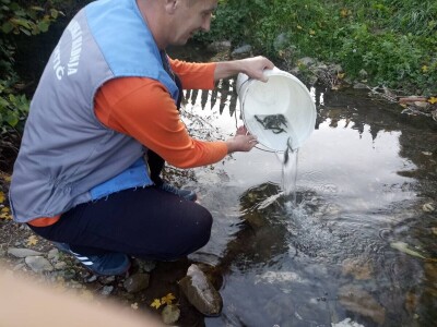 Poribljavanje rijeke Vrbas i njene pritoke Voljišnice