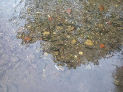 Poribljavanje rijeke Vrbas i njene pritoke Voljišnice