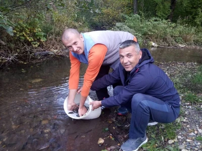 Poribljavanje rijeke Vrbas i njene pritoke Voljišnice